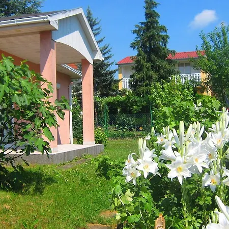 Apartmán Feszek Apartmanhaz *