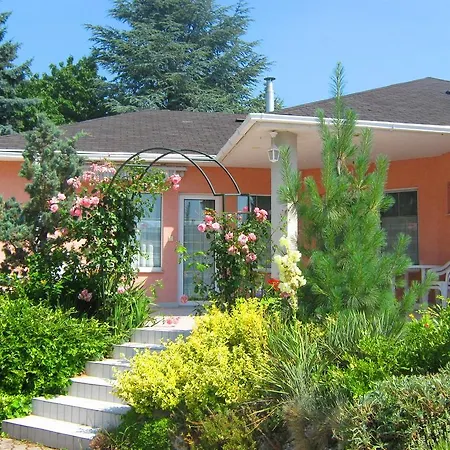Fészek Apartman *
