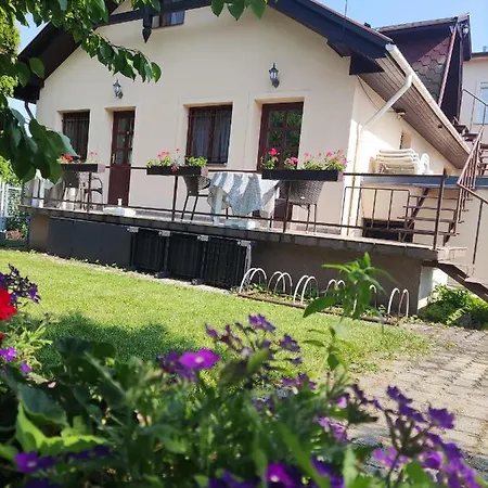 Feszek Apartmanhaz Apartmán *