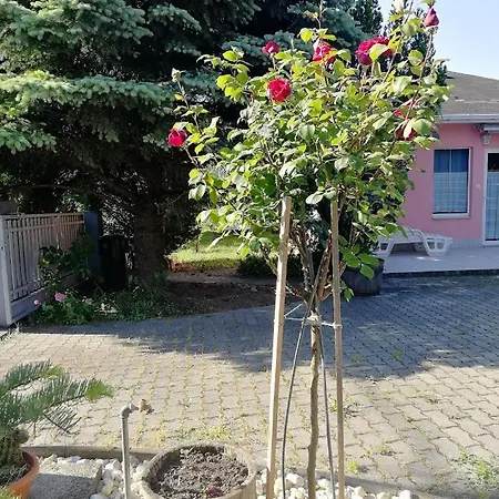 Feszek Apartmanhaz Apartmán *