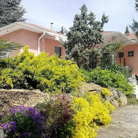 Apartmán Feszek Apartmanhaz Vonyarcvashegy