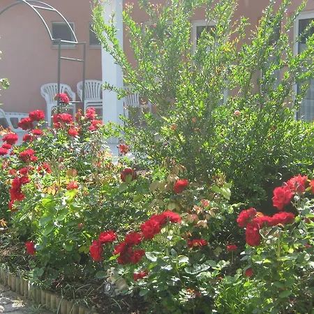 Apartmán Feszek Apartmanhaz Vonyarcvashegy