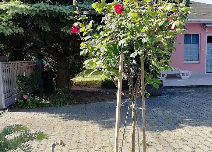 Feszek Apartmanhaz Apartment *
