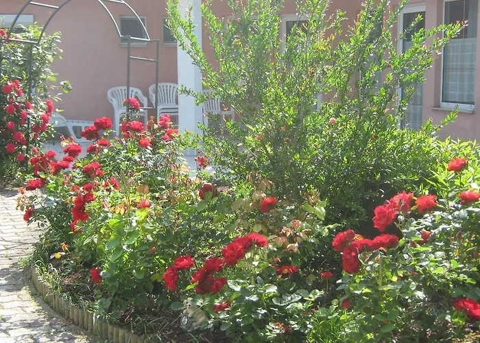 Apartment Feszek Apartmanhaz Vonyarcvashegy